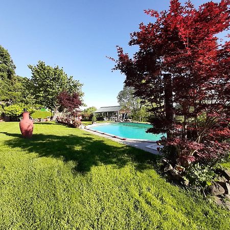 La Cupoletta -Holiday House - Gilda Trevignano Romano Exterior photo